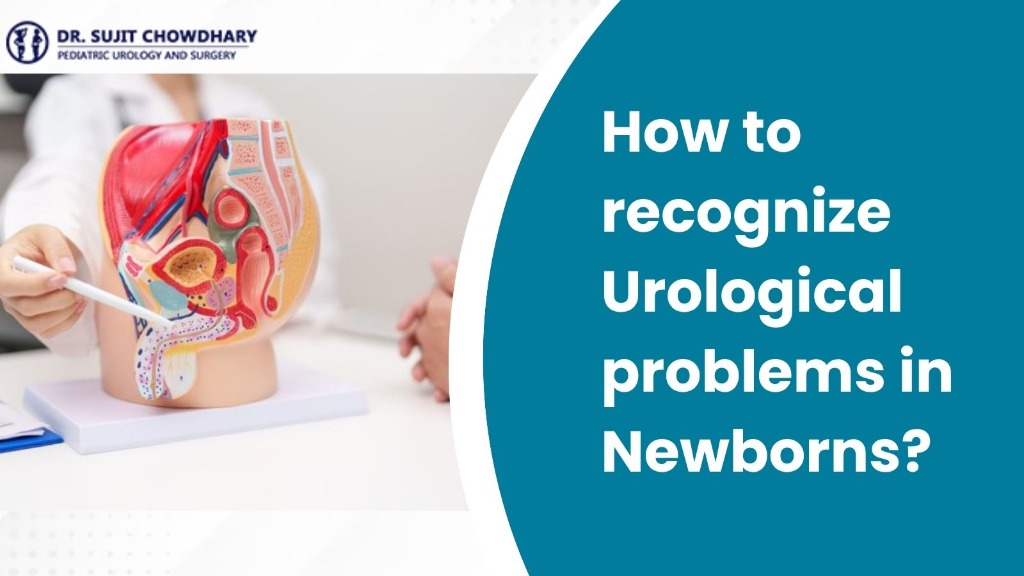 How to Recognize Urological problems in Newborns?